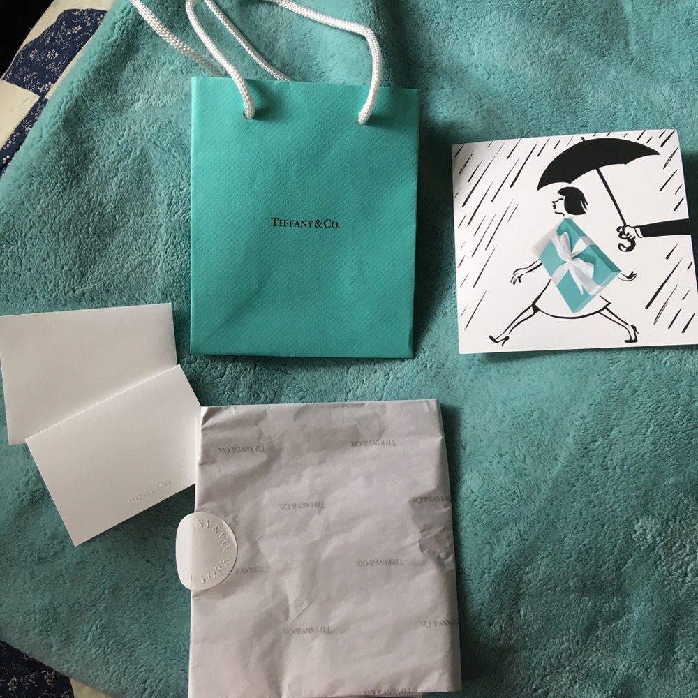 Tiffany & Co. Gift Bag